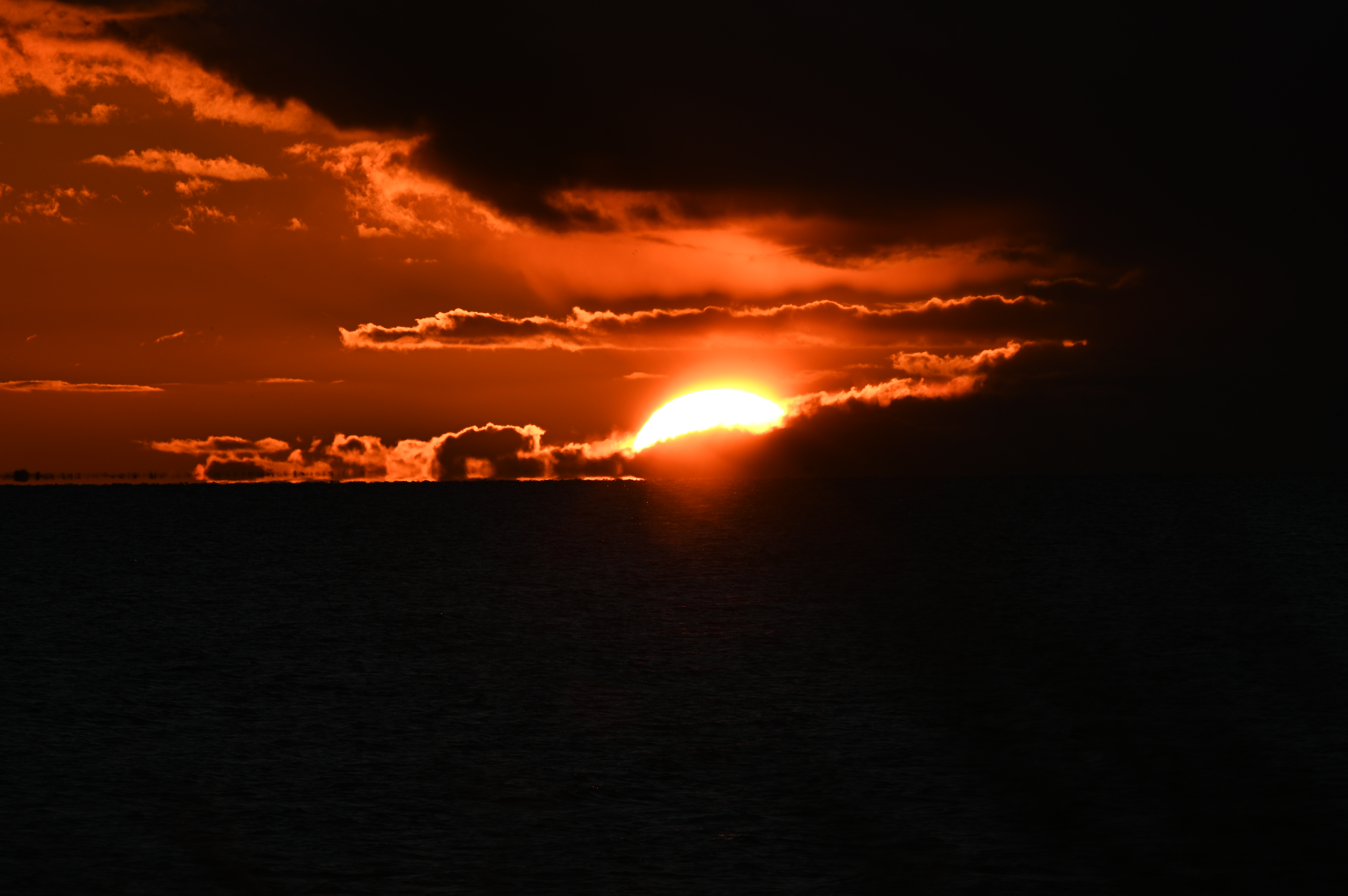 2025/10/18 - walk/DSC_0493.JPG